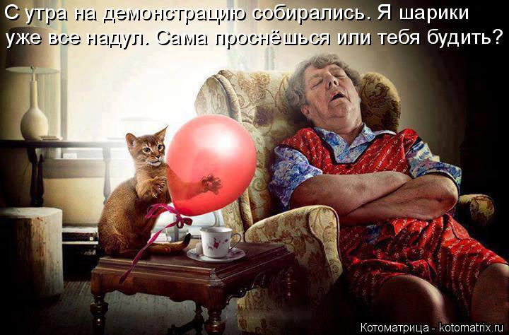 Котоматрица: С утра на демонстрацию собирались. Я шарики  уже все надул. Сама проснёшься или тебя будить?