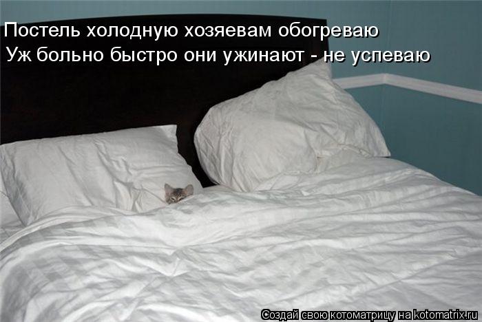 Котоматрица: Постель холодную хозяевам обогреваю Уж больно быстро они ужинают - не успеваю