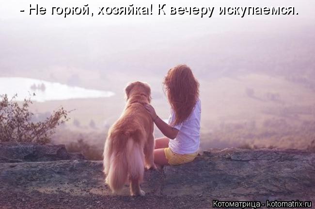 Котоматрица: - Не горюй, хозяйка! К вечеру искупаемся.