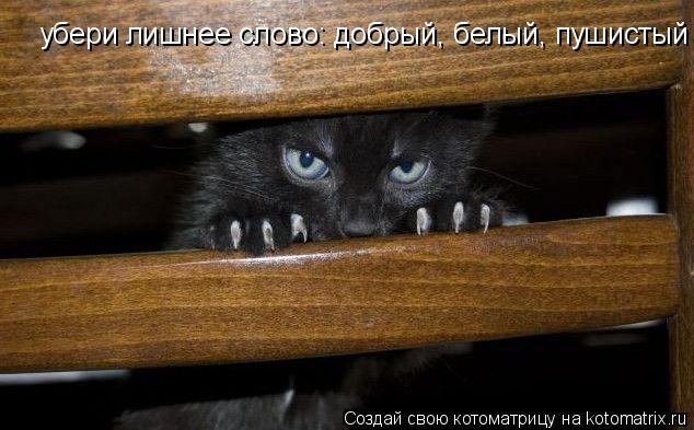 Котоматрица: убери лишнее слово: добрый, белый, пушистый