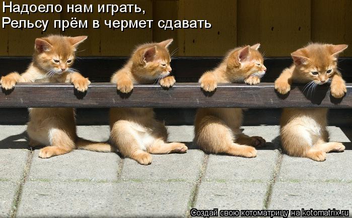 Котоматрица: Надоело нам играть, Рельсу прём в чермет сдавать