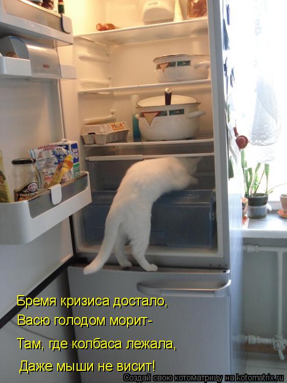 Котоматрица: Бремя кризиса достало, Васю голодом морит- Там, где колбаса лежала, Даже мыши не висит!
