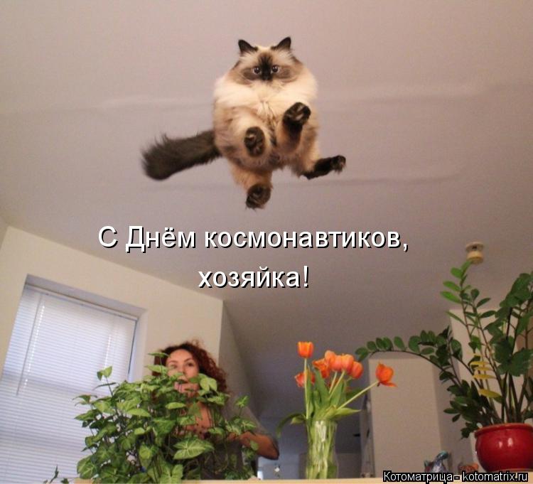 Котоматрица: С Днём космонавтиков, хозяйка!