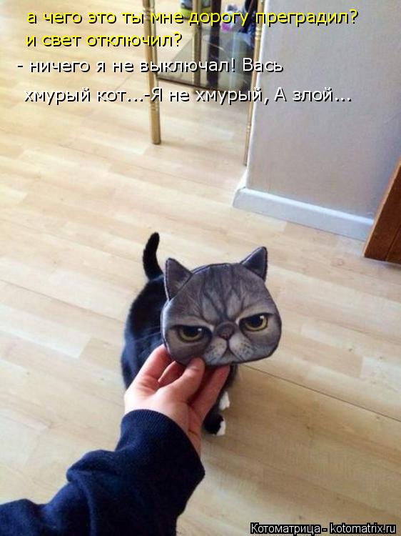 Котоматрица: а чего это ты мне дорогу преградил? и свет отключил? - ничего я не выключал! Вась хмурый кот...-Я не хмурый, А злой...