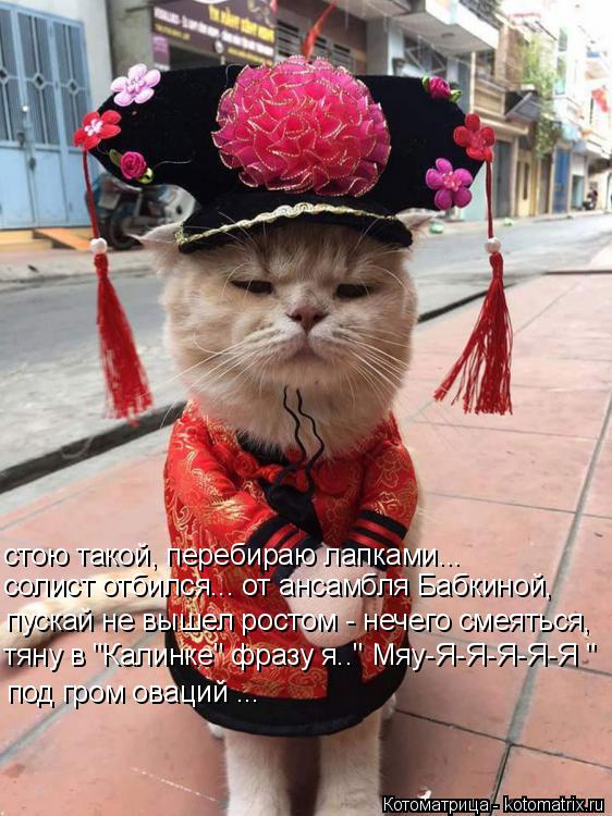 Котоматрица: стою такой, перебираю лапками... солист отбился... от ансамбля Бабкиной, пускай не вышел ростом - нечего смеяться, тяну в "Калинке" фразу я.." Мя