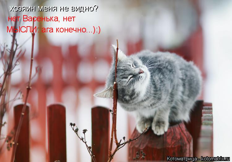 Котоматрица: хозяин меня не видно? нет Васенька, нет МЫСЛИ: ага конечно...):)