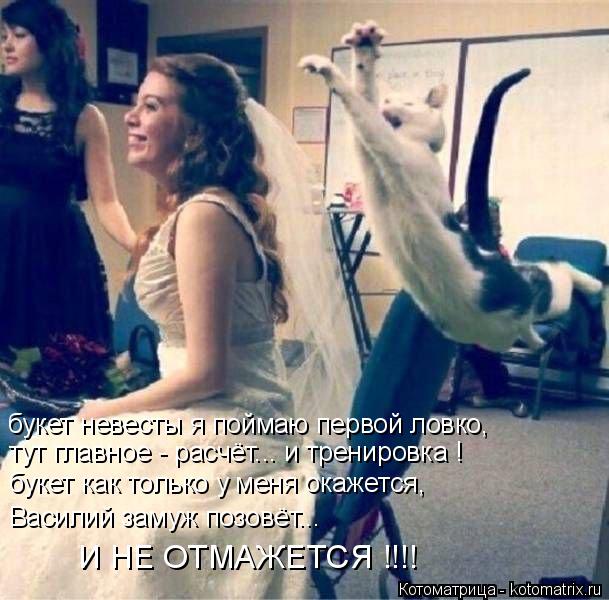Котоматрица: букет невесты я поймаю первой ловко, тут главное - расчёт... и тренировка ! букет как только у меня окажется, Василий замуж позовёт... И НЕ ОТМА