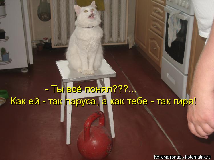 Котоматрица: Как ей - так паруса, а как тебе - так гиря! - Ты всё понял???...