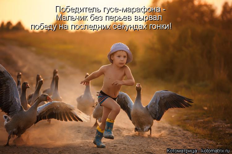 Котоматрица: 