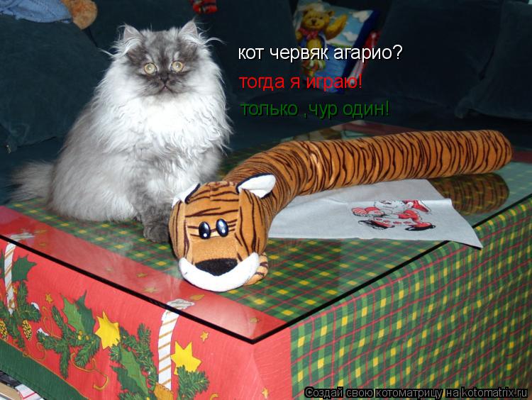 Котоматрица: тогда я играю! кот червяк агарио? только ,чур один!