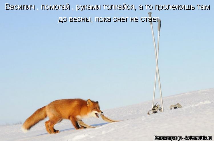 Котоматрица: Василич , помогай , руками толкайся, а то пролежишь там  до весны, пока снег не стает