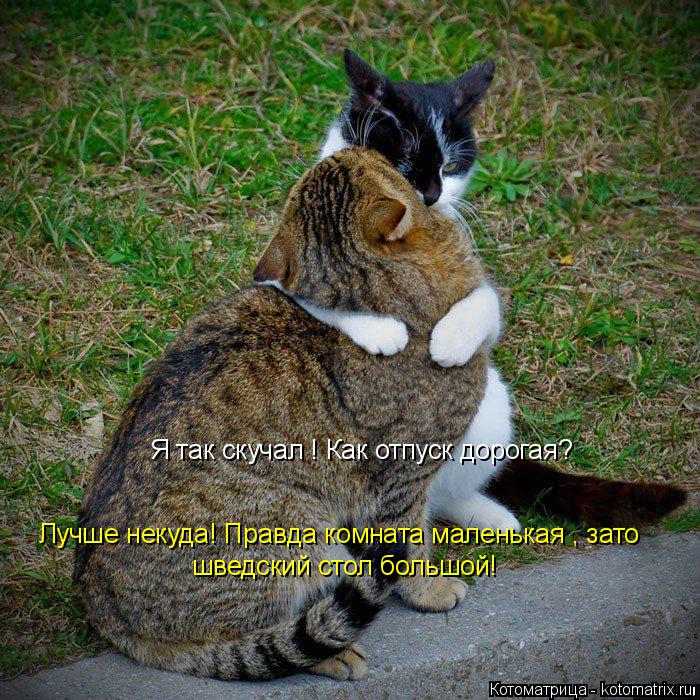 Котоматрица: Лучше некуда! Правда комната маленькая , зато шведский стол большой! Я так скучал ! Как отпуск дорогая?