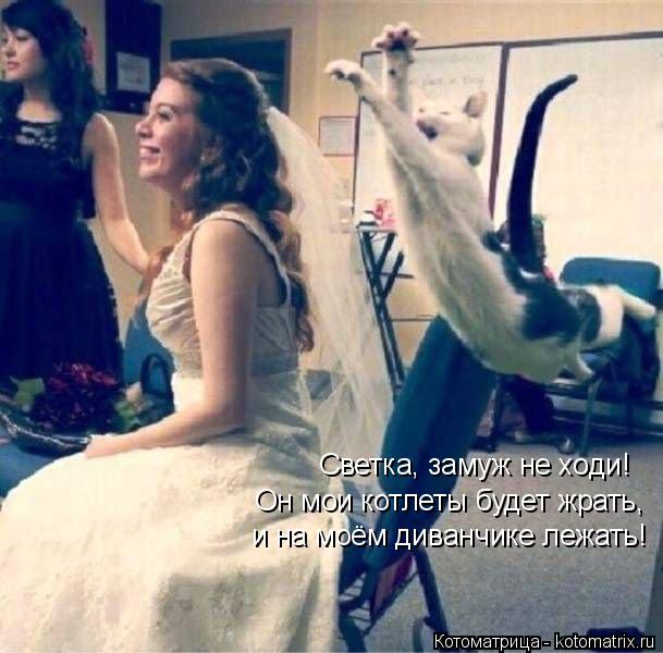 Котоматрица: Светка, замуж не ходи! Он мои котлеты будет жрать,  и на моём диванчике лежать!