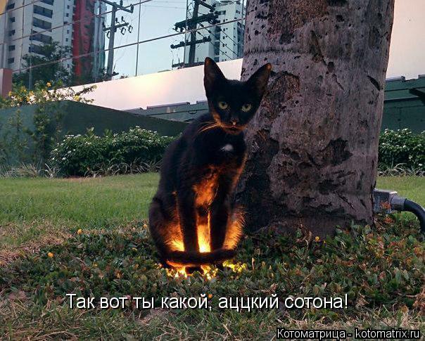 Котоматрица: Так вот ты какой, аццкий сотона!