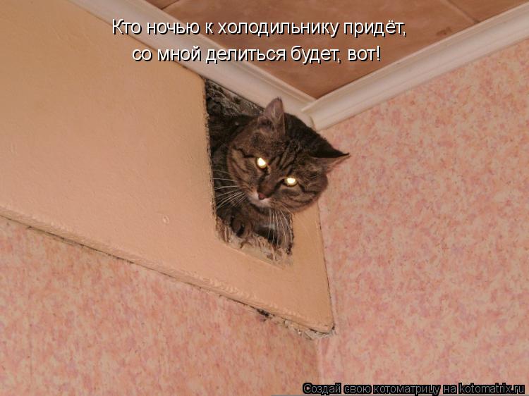 Кто ночью к холодильнику придёт, со мной делиться будет, вот!... Котоматрица: Кто ночью к холодильнику придёт, со мной делиться будет, вот!