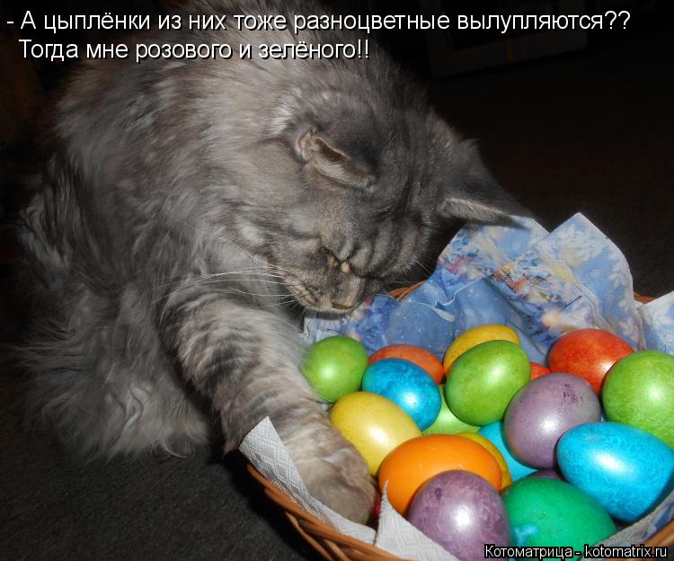Котоматрица: - А цыплёнки из них тоже разноцветные вылупляются?? Тогда мне розового и зелёного!!