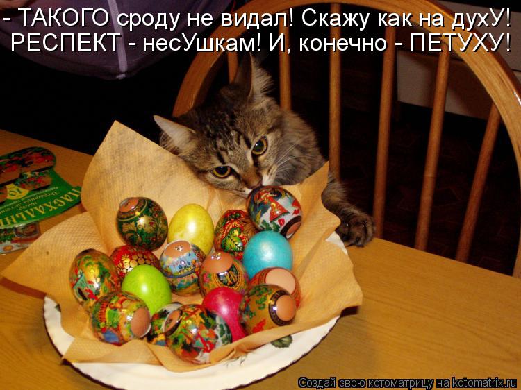 - ТАКОГО сроду не видал! Скажу как на духУ! РЕСПЕКТ - несУшкам! И, конечно - ПЕТУХУ!... Котоматрица: - ТАКОГО сроду не видал! Скажу как на духУ! РЕСПЕКТ - несУшкам! И, конечно - ПЕТУХУ!