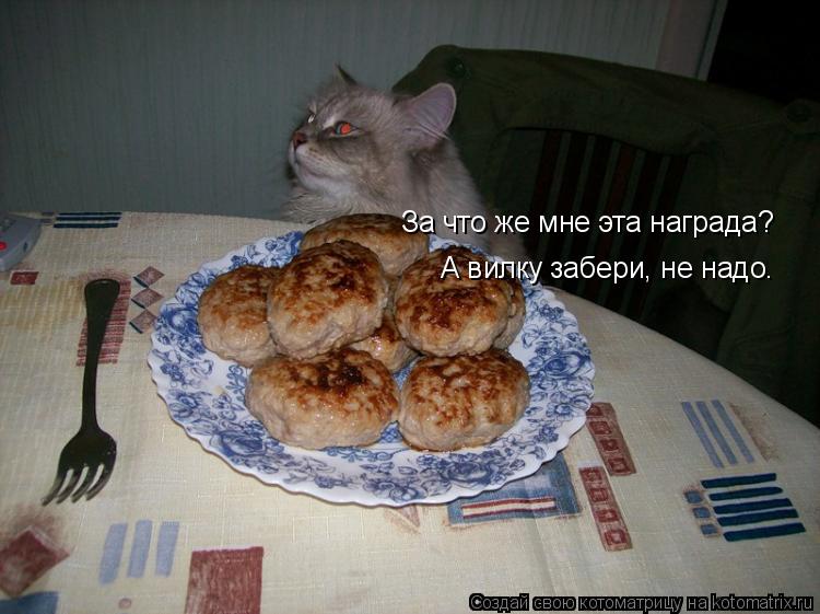 За что же мне эта награда? А вилку забери, не надо.... Котоматрица: За что же мне эта награда? А вилку забери, не надо.