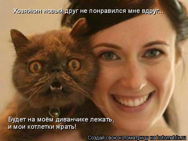 Котоматрица: Хозяйкин новый друг не понравился мне вдруг... Будет на моём диванчике лежать, и мои котлетки жрать!