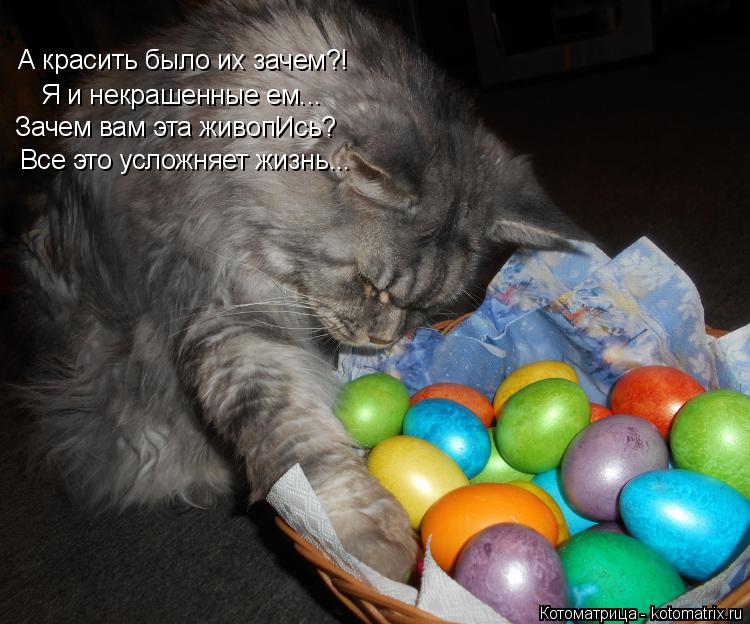 Котоматрица: А красить было их зачем?! Я и некрашенные ем... Зачем вам эта живопИсь? Все это усложняет жизнь...