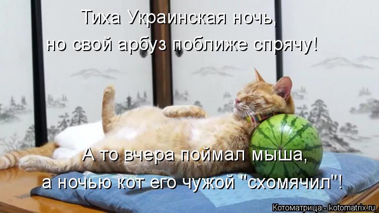 Котоматрица: Тиха Украинская ночь, но свой арбуз поближе спрячу! А то вчера поймал мыша, а ночью кот его чужой "схомячил"!