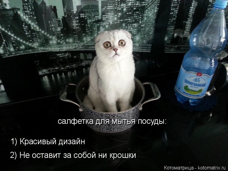 Котоматрица: 1) Красивый дизайн салфетка для мытья посуды: 2) Не оставит за собой ни крошки