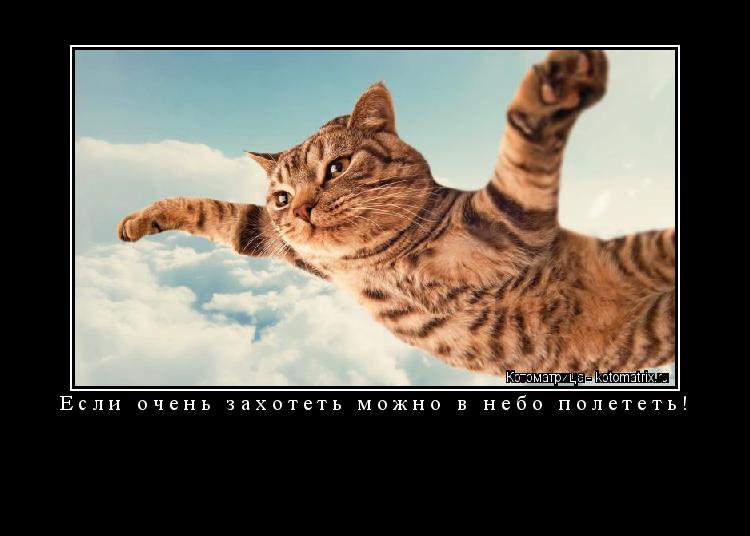 Котоматрица: Если очень захотеть можно в небо полететь! 