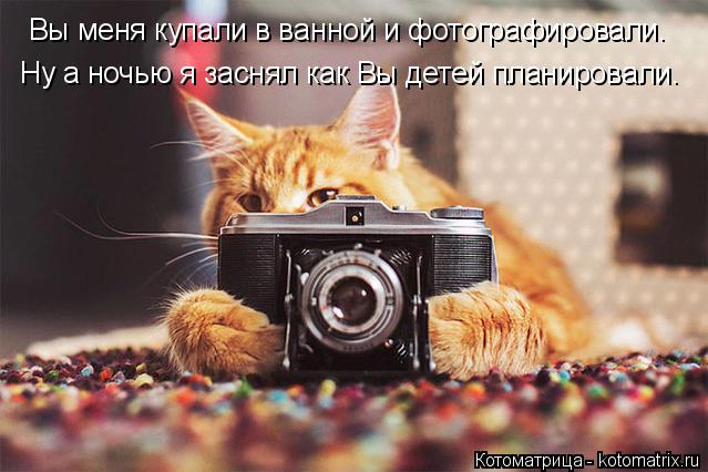 Вы меня купали в ванной и фотографировали. Ну а ночью я заснял как Вы детей планировали.... Котоматрица: Вы меня купали в ванной и фотографировали. Ну а ночью я заснял как Вы детей планировали.