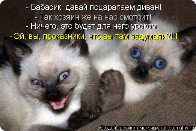 Котоматрица: - Бабасик, давай поцарапаем диван! - Так хозяин же на нас смотрит! - Ничего, это будет для него уроком! - Эй, вы, проказники, что вы там задумали?!!