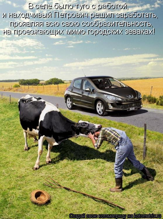 Котоматрица: В селе было туго с работой, и находчивый Петрович решил заработать,  на проезжающих мимо городских зеваках! проявляя всю свою сообразительн