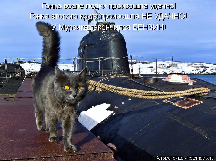 Котоматрица: Гонка возле лодки произошла удачно! Гонка второго круга произошла НЕ УДАЧНО! У Мурзика закончился БЕНЗИН!
