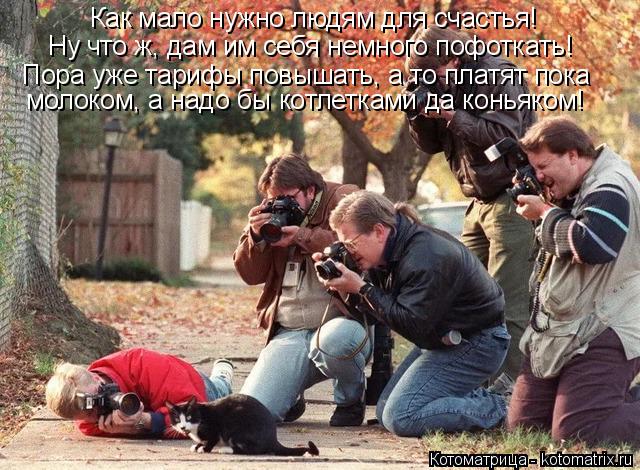 Котоматрица: Как мало нужно людям для счастья! Ну что ж, дам им себя немного пофоткать! молоком, а надо бы котлетками да коньяком! Пора уже тарифы повышать