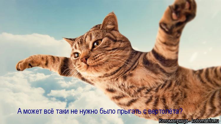 Котоматрица: А может всё таки не нужно было прыгать с вертолёта?