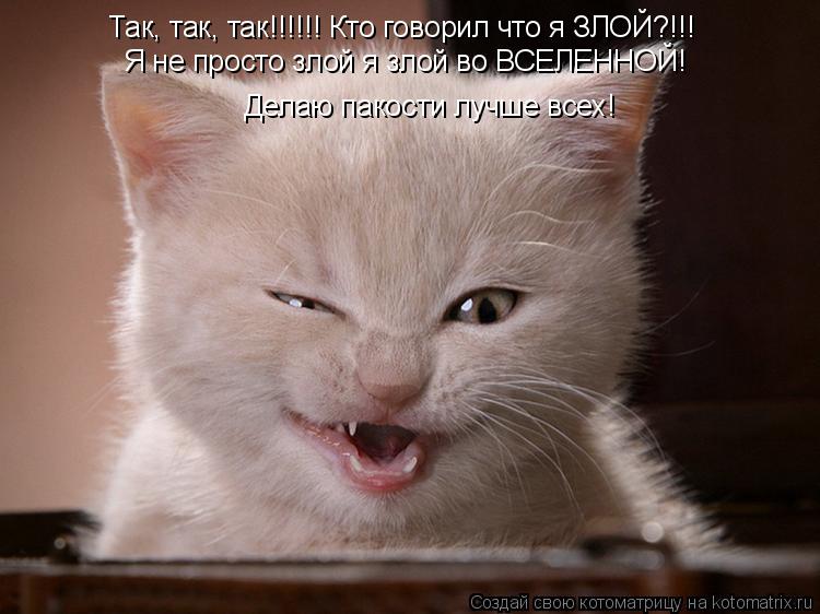 Котоматрица: Так, так, так!!!!!! Кто говорил что я ЗЛОЙ?!!! Я не просто злой я злой во ВСЕЛЕННОЙ! Делаю пакости лучше всех!