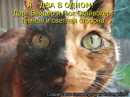Дарт Вейдер и Люк Скайвокер - Я - ДВА В ОДНОМ! темная и светлая сторона... Котоматрица: Дарт Вейдер и Люк Скайвокер - Я - ДВА В ОДНОМ! темная и светлая сторона