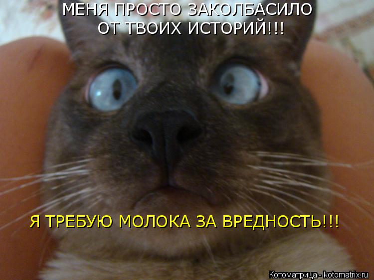 Котоматрица: МЕНЯ ПРОСТО ЗАКОЛБАСИЛО  ОТ ТВОИХ ИСТОРИЙ!!! Я ТРЕБУЮ МОЛОКА ЗА ВРЕДНОСТЬ!!!