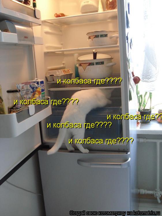 и колбаса где???? и колбаса где???? и колбаса где???? и колбаса где???? и колбаса где????... Котоматрица: и колбаса где???? и колбаса где???? и колбаса где???? и колбаса где???? и колбаса где????