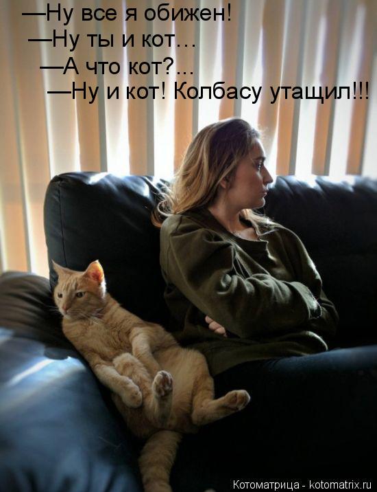 Котоматрица: —Ну все я обижен! —Ну ты и кот… —А что кот?... —Ну и кот! Колбасу утащил!!!