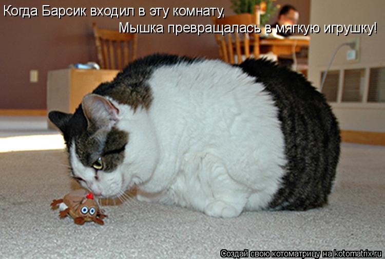 Котоматрица: Когда Барсик входил в эту комнату, Мышка превращалась в мягкую игрушку!
