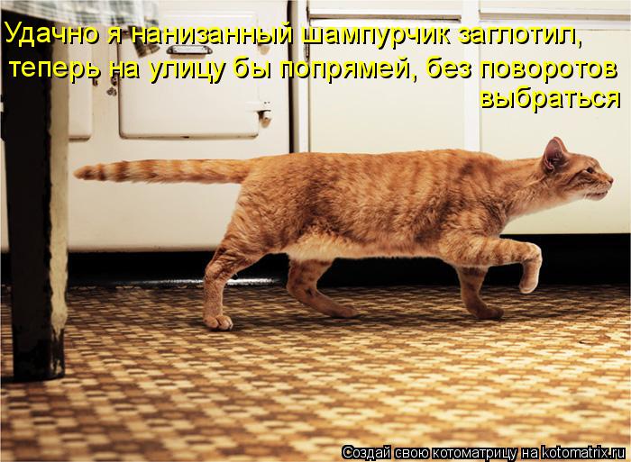Котоматрица: Удачно я нанизанный шампурчик заглотил, теперь на улицу бы попрямей, без поворотов  выбраться