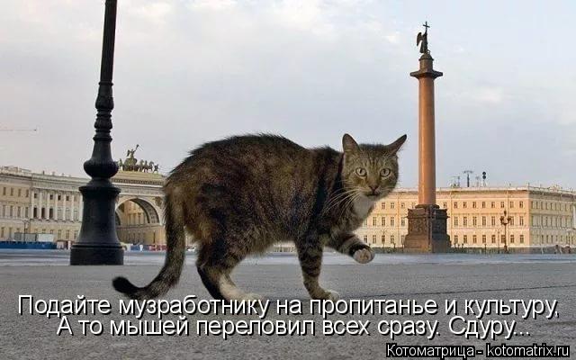 Котоматрица: Подайте музработнику на пропитанье и культуру, А то мышей переловил всех сразу. Сдуру...