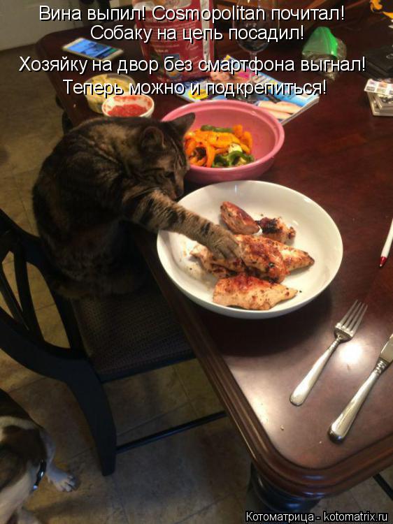 Котоматрица: Вина выпил! Cosmopolitan почитал! Собаку на цепь посадил! Хозяйку на двор без смартфона выгнал! Теперь можно и подкрепиться!