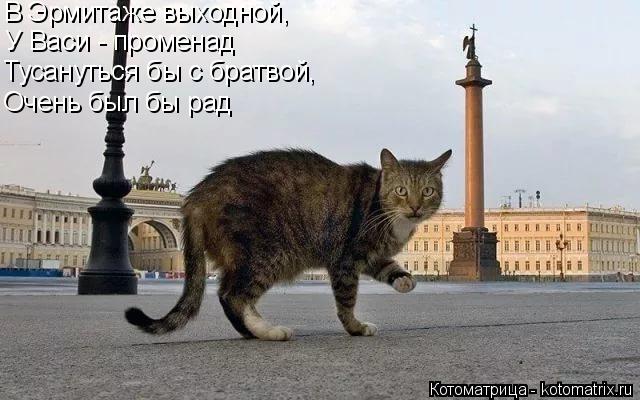 Котоматрица: В Эрмитаже выходной, У Васи - променад  Тусануться бы с братвой, Очень был бы рад
