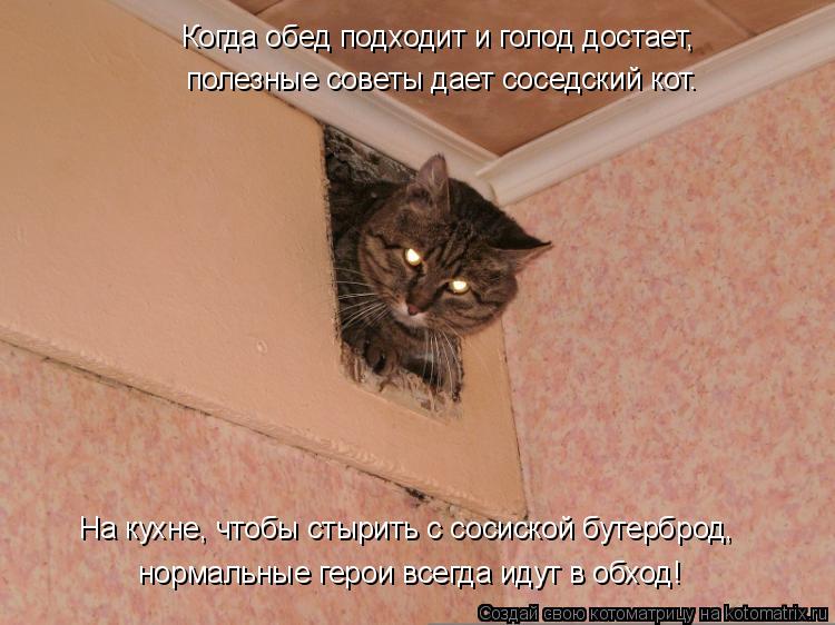 Когда обед подходит и голод достает, полезные советы дает соседский кот. На кухне, чтобы стырить с со... Котоматрица: Когда обед подходит и голод достает, полезные советы дает соседский кот. На кухне, чтобы стырить с сосиской бутерброд, нормальные герои все
