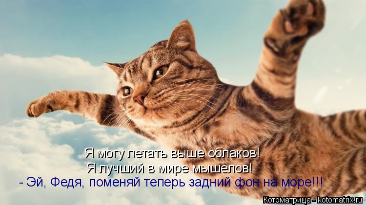 Котоматрица: Я могу летать выше облаков! Я лучший в мире мышелов! - Эй, Федя, поменяй теперь задний фон на море!!!