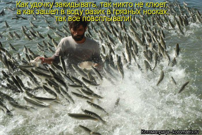 Котоматрица: а как зашел в воду разик в грязных носках, Как удочку закидывать, так никто не клюет, так все повсплывали!