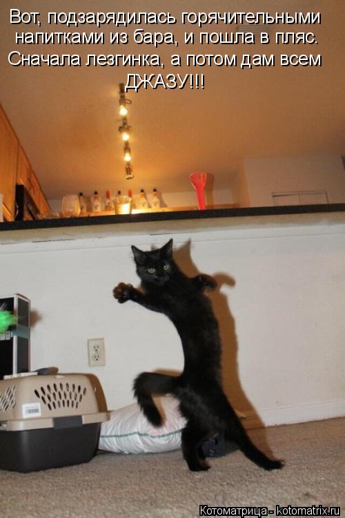 Котоматрица: Вот, подзарядилась горячительными  напитками из бара, и пошла в пляс.  Сначала лезгинка, а потом дам всем ДЖАЗУ!!!