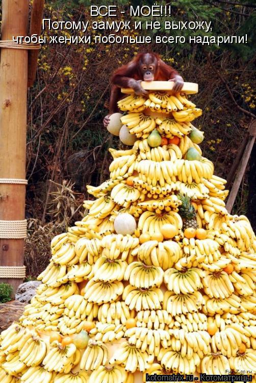 Котоматрица: ВСЕ - МОЁ!!! Потому замуж и не выхожу, чтобы женихи побольше всего надарили!
