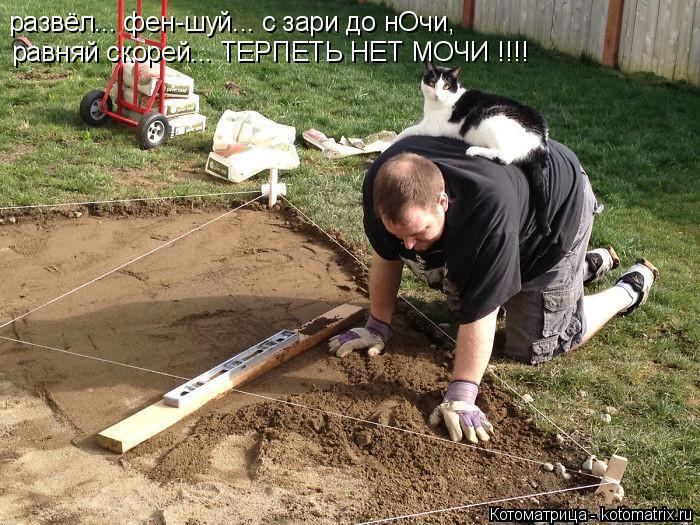 Котоматрица: развёл... фен-шуй... с зари до нОчи, равняй скорей... ТЕРПЕТЬ НЕТ МОЧИ !!!!