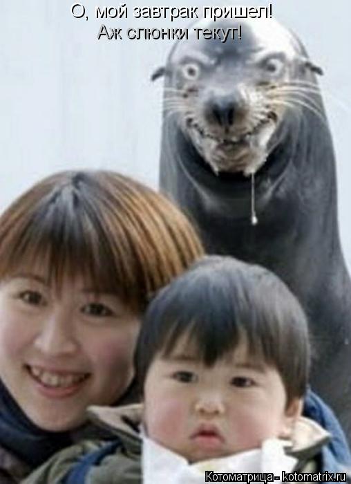 Котоматрица: О, мой завтрак пришел! Аж слюнки текут!